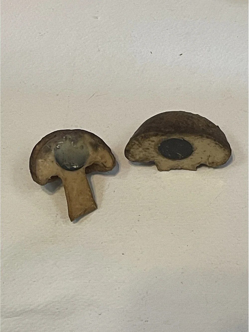MUSHROOM Rubber Retro Vintage 3D Simulation Fridge Magnets X2 Vegetable